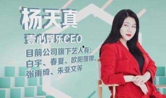 娱乐圈18线艺人 爆料,幕后辛酸与逆袭之路